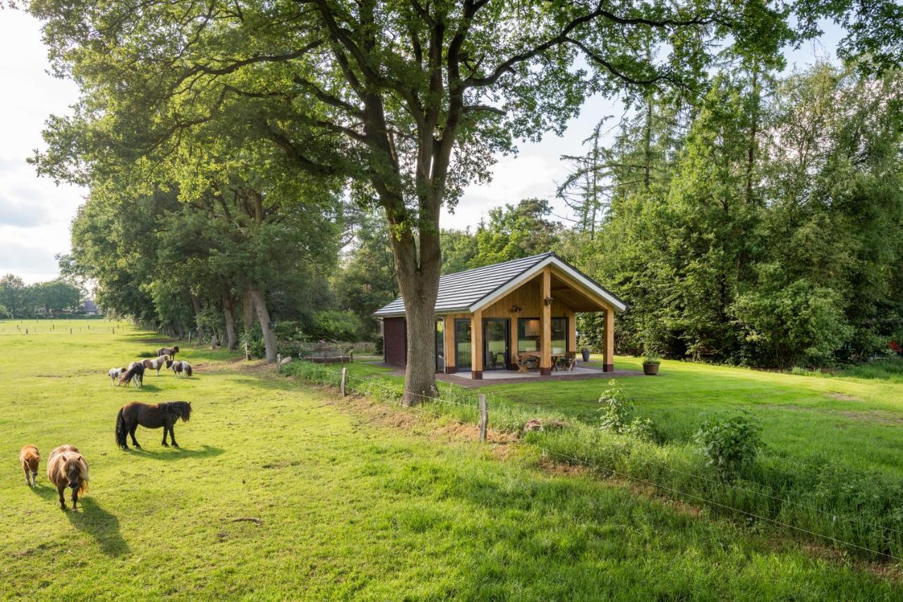 Bungalowpark Bij De Bronnen Nutter Exterior photo
